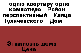 сдаю квартиру одна комнатную › Район ­ перспективный › Улица ­ Тухачевского › Дом ­ 24/4 › Этажность дома ­ 12 › Цена ­ 8 000 - Ставропольский край Недвижимость » Квартиры аренда   